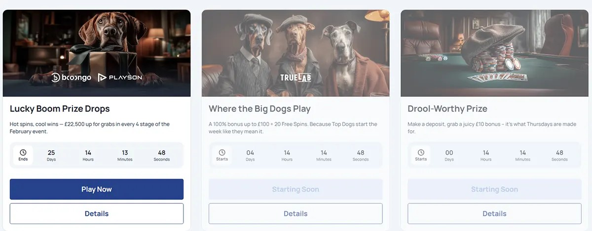 Three SpinDog promotion cards: “Lucky Boom Prize Drops” with a dog mascot and countdown timer, “Where the Big Dogs Play” with three dogs in suits (Starting Soon), and “Drool-Worthy Prize” with poker chips on a table (Starting Soon).