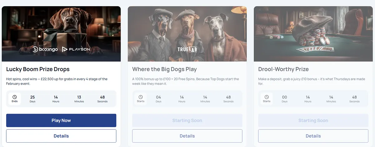Three SpinDog promotion cards: “Lucky Boom Prize Drops” with a dog mascot and countdown timer, “Where the Big Dogs Play” with three dogs in suits (Starting Soon), and “Drool-Worthy Prize” with poker chips on a table (Starting Soon).